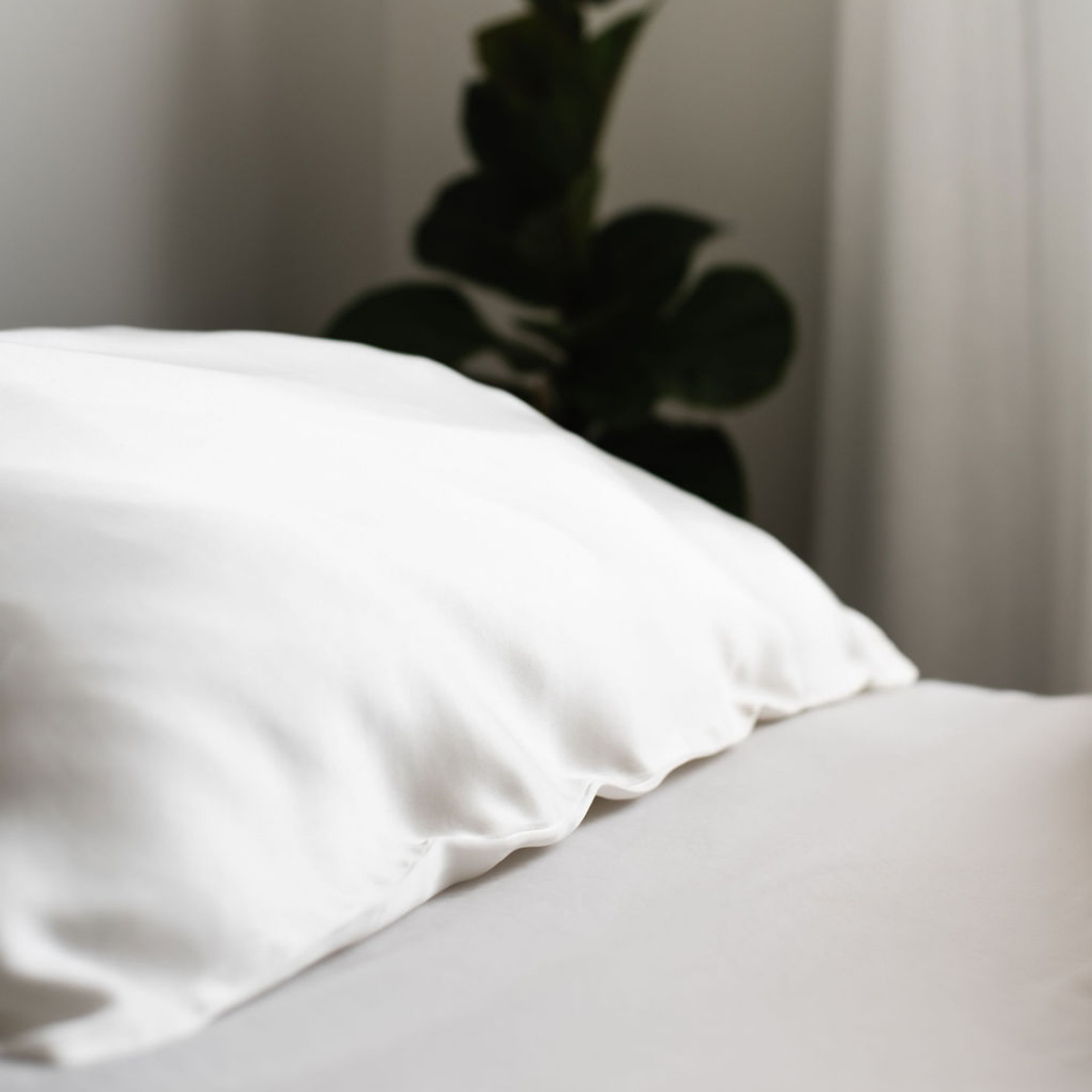 100% Pure Silk Pillowcase - Clean White gallery detail image