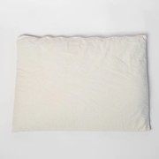 Buckwheat Hull | Pillow gallery detail image