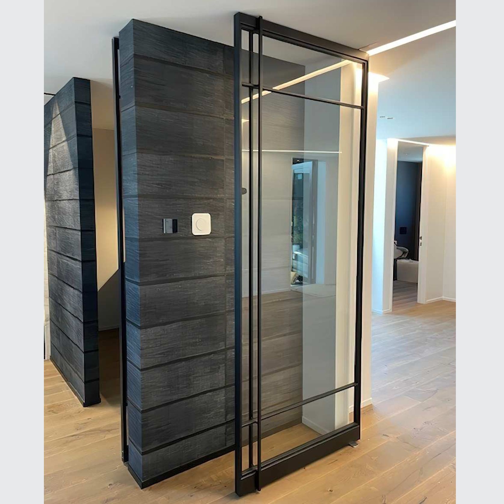 Pivot Steel Doors gallery detail image