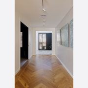 Iron Pivot Entry Doors - Galvanised FWA50 gallery detail image
