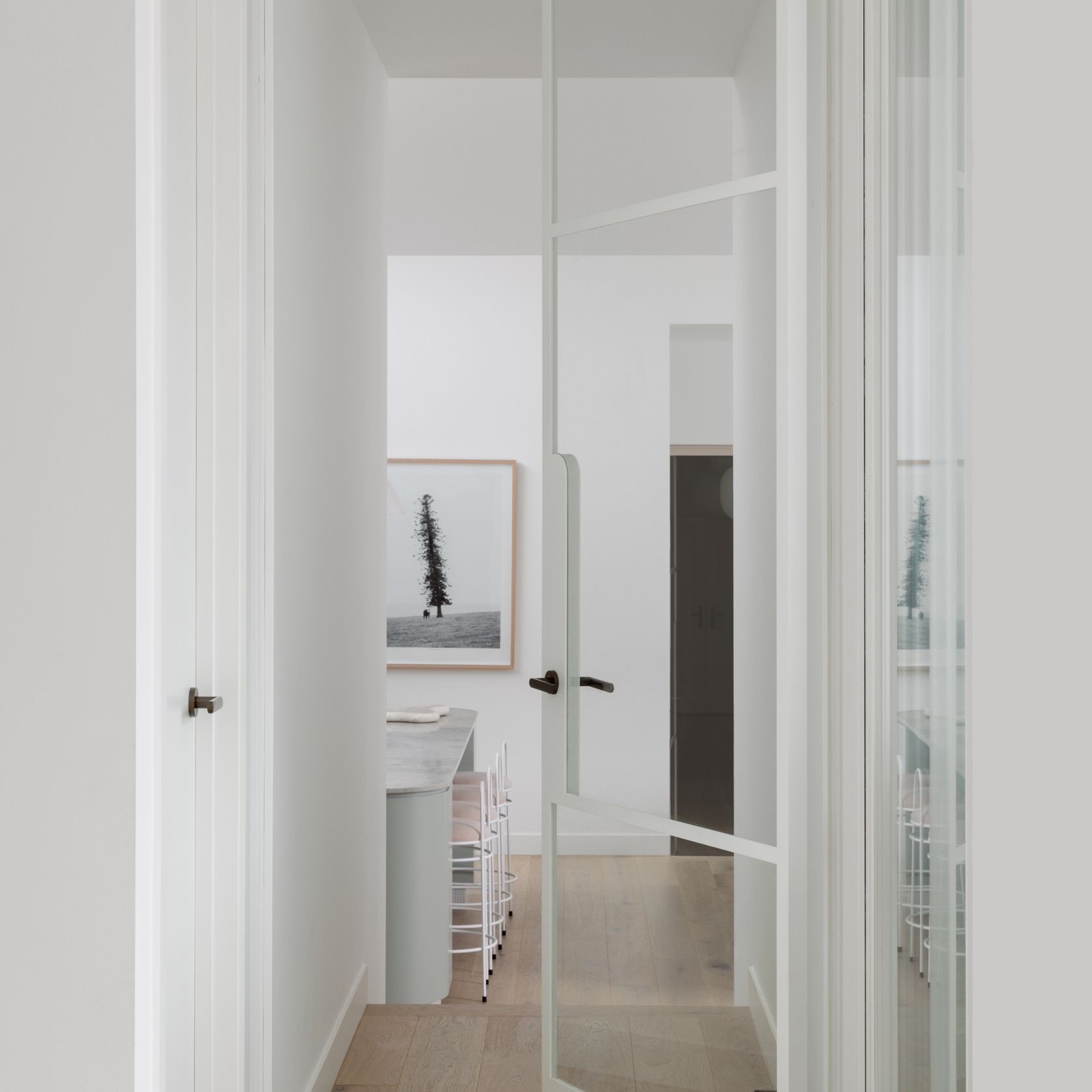 Pivot Steel Doors gallery detail image