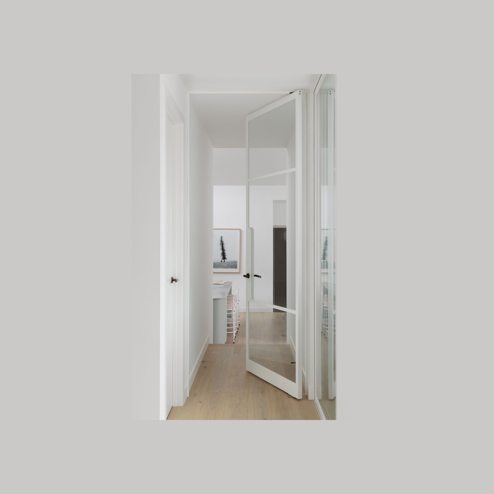 Pivot Steel Doors gallery detail image