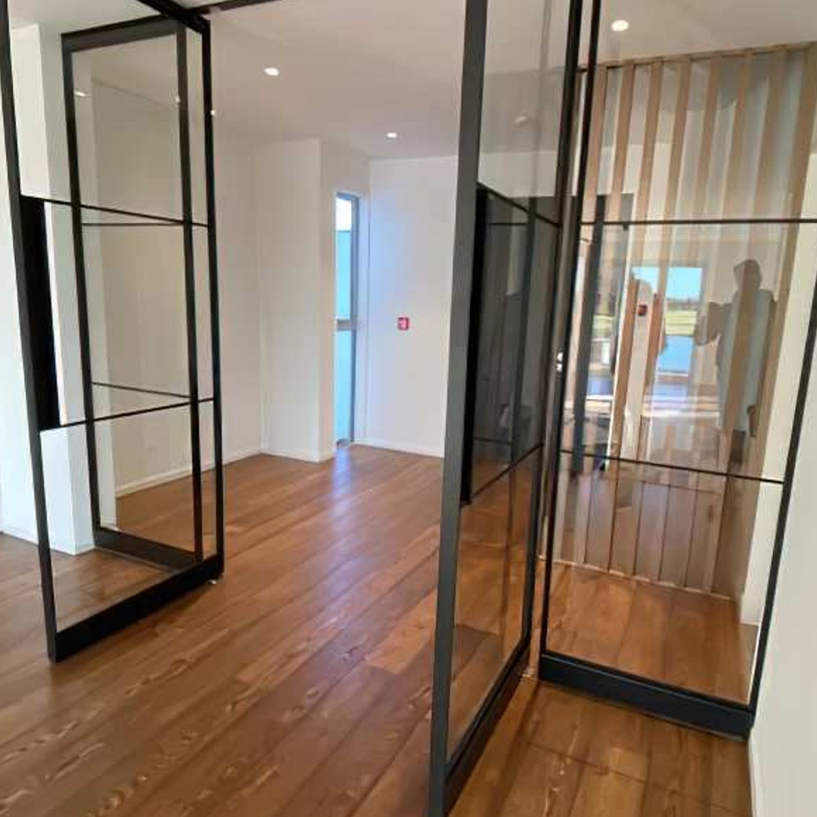 Pivot Steel Doors gallery detail image