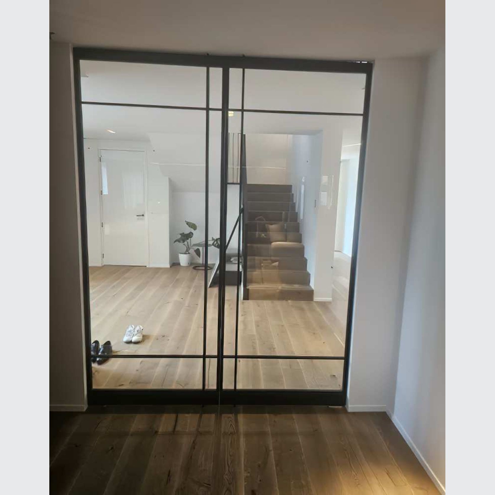 Pivot Steel Doors gallery detail image