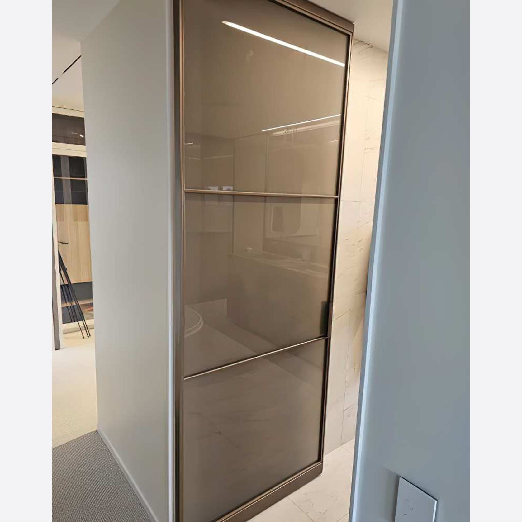 Pivot Steel Doors gallery detail image