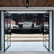 Pivot Steel Doors gallery detail image