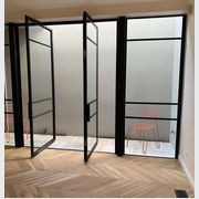Pivot Steel Doors gallery detail image