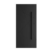Iron Pivot Entry Doors - Galvanised gallery detail image