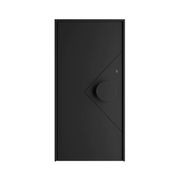 Iron Pivot Entry Doors - Galvanised gallery detail image