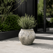 Poise Planter gallery detail image