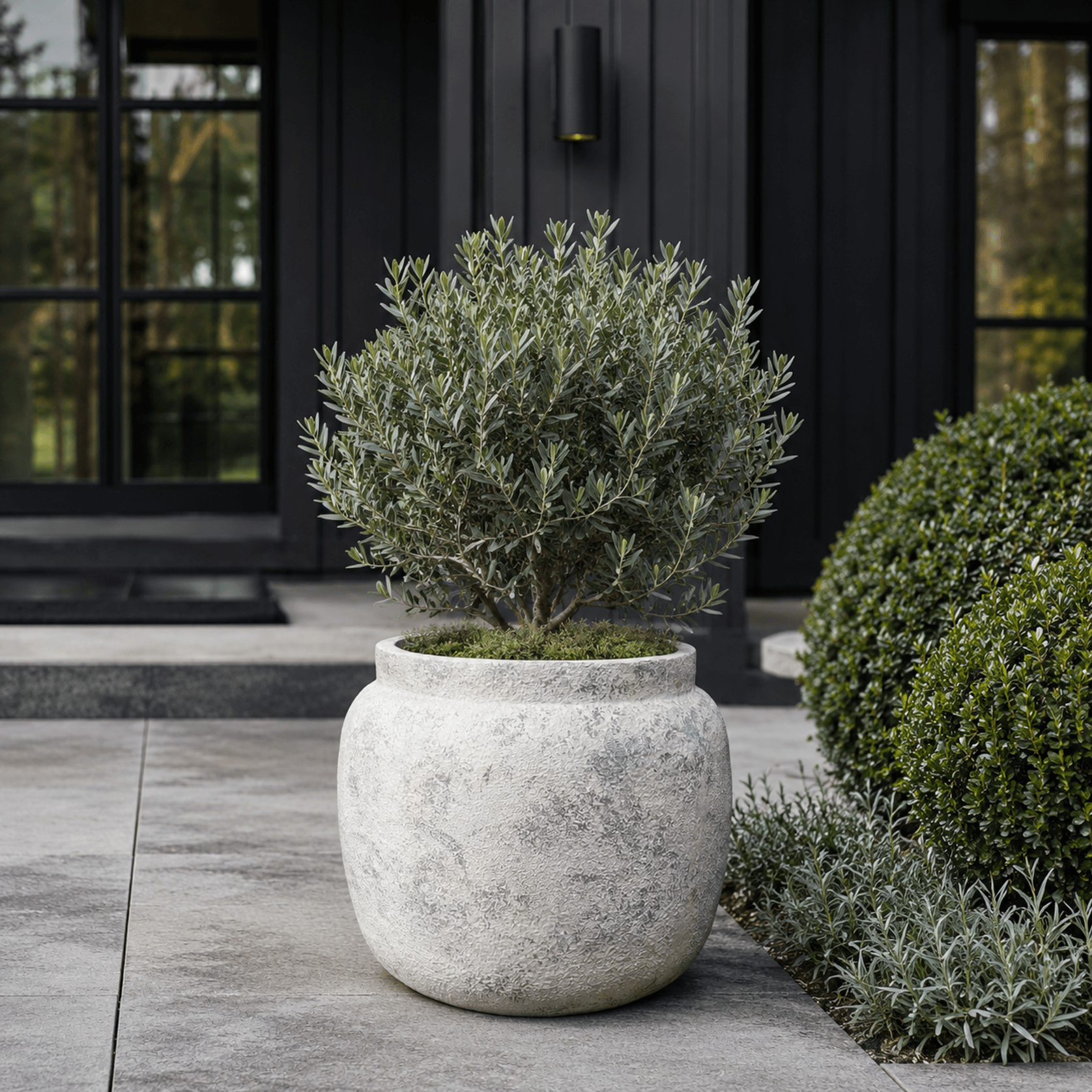 Classic Planter gallery detail image