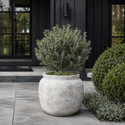 Classic Planter gallery detail image