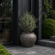 Poise Planter gallery detail image
