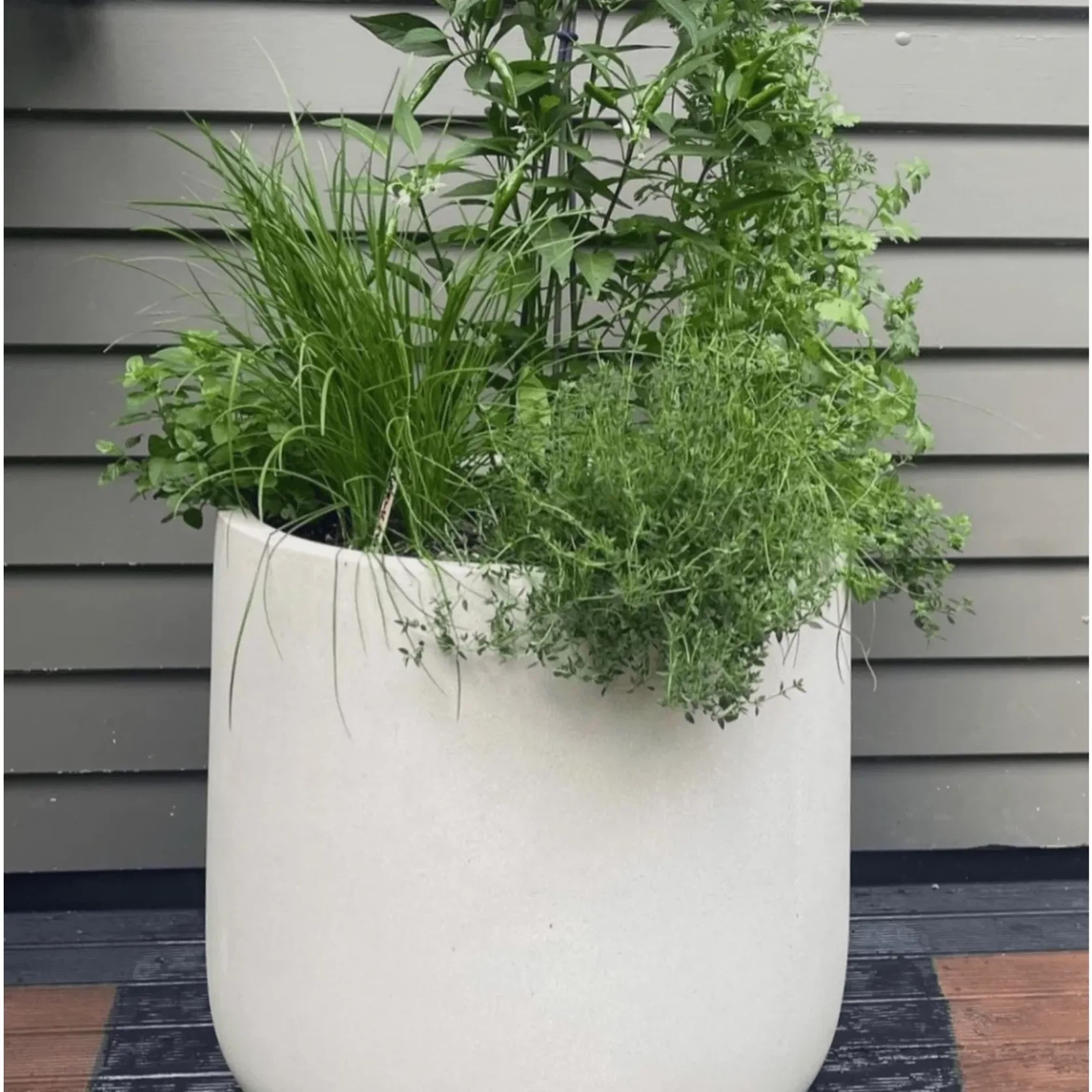 Bianca Cylinder Pot gallery detail image