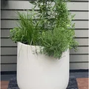 Bianca Cylinder Pot gallery detail image