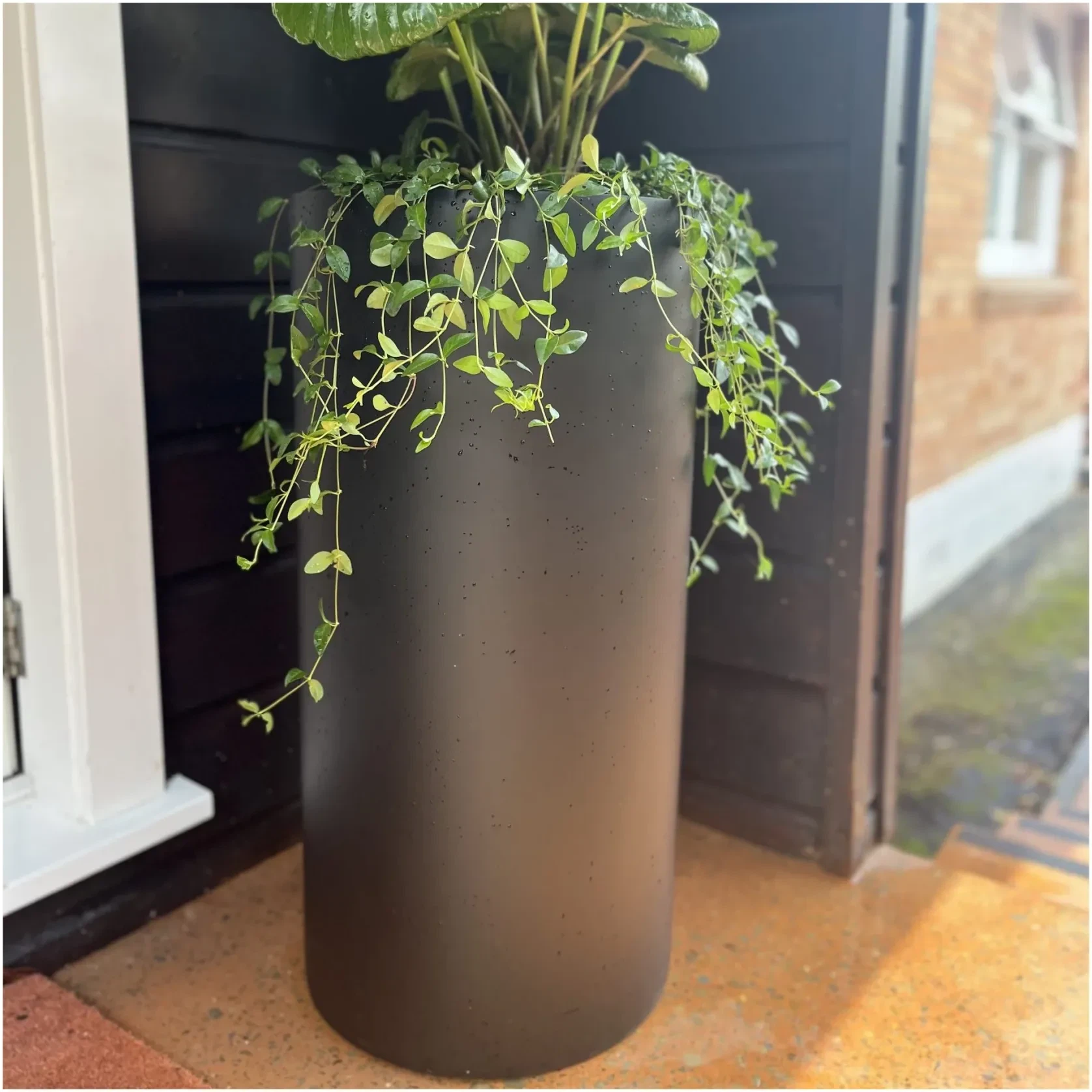 Bianca Cigar Cylinder Pot gallery detail image