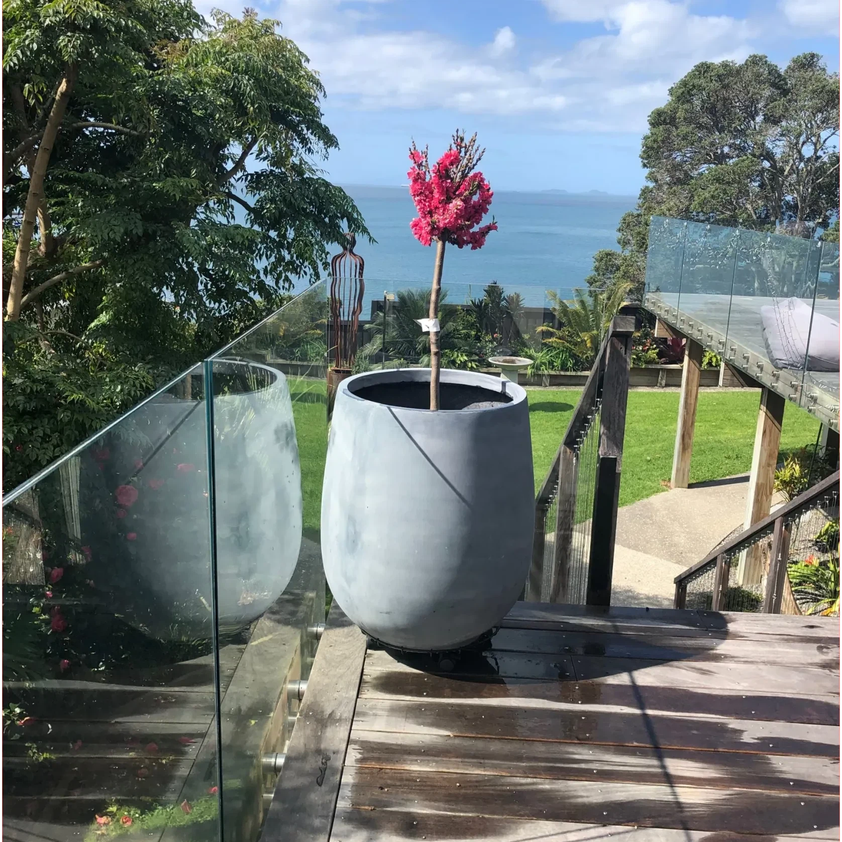 Bianca Palm Pot gallery detail image