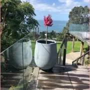 Bianca Palm Pot gallery detail image