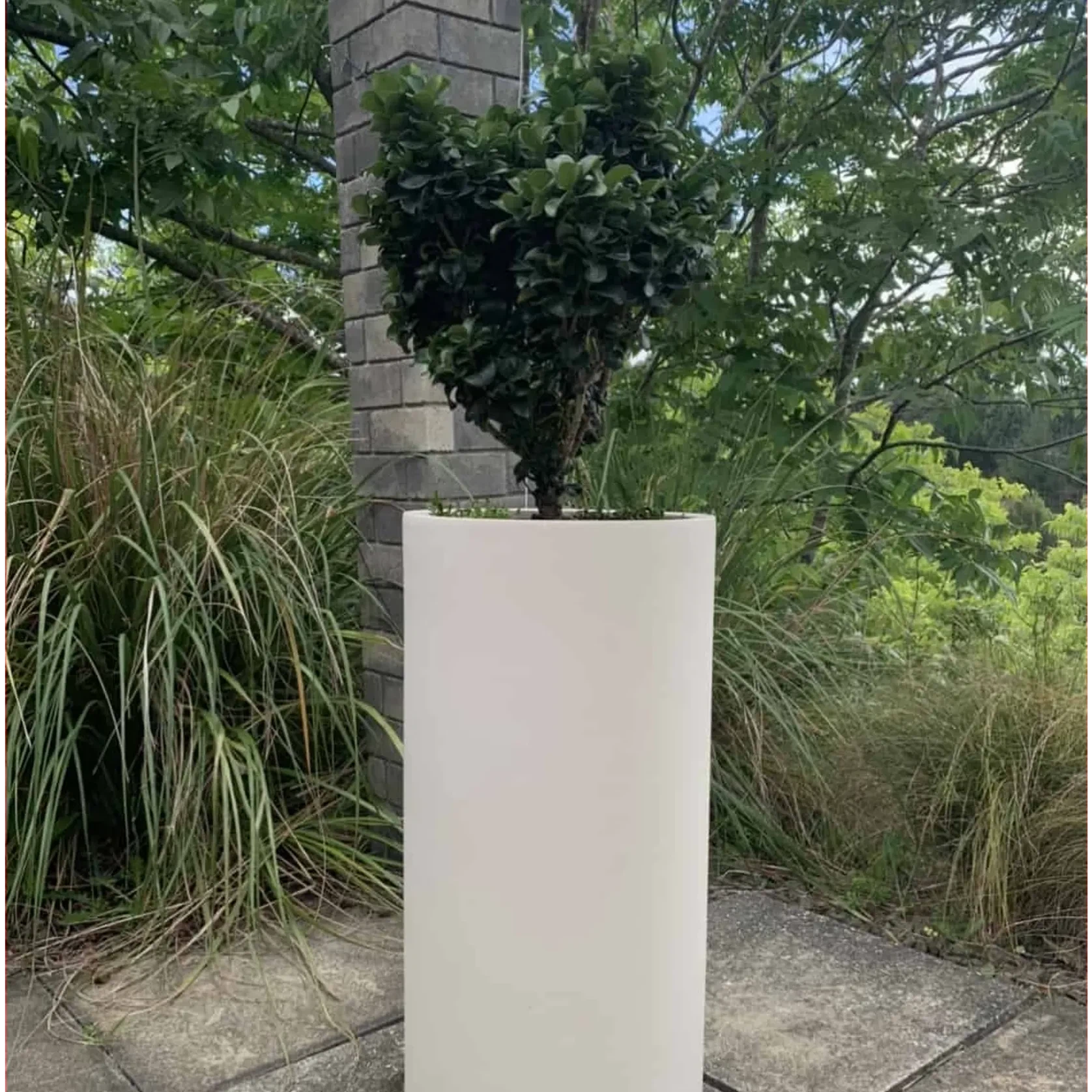 Bianca Cigar Cylinder Pot gallery detail image