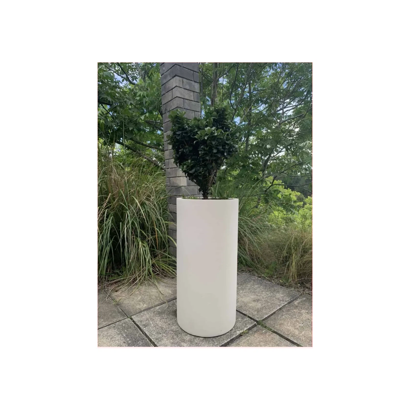 Bianca Cigar Cylinder Pot gallery detail image