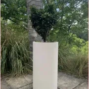 Bianca Cigar Cylinder Pot gallery detail image