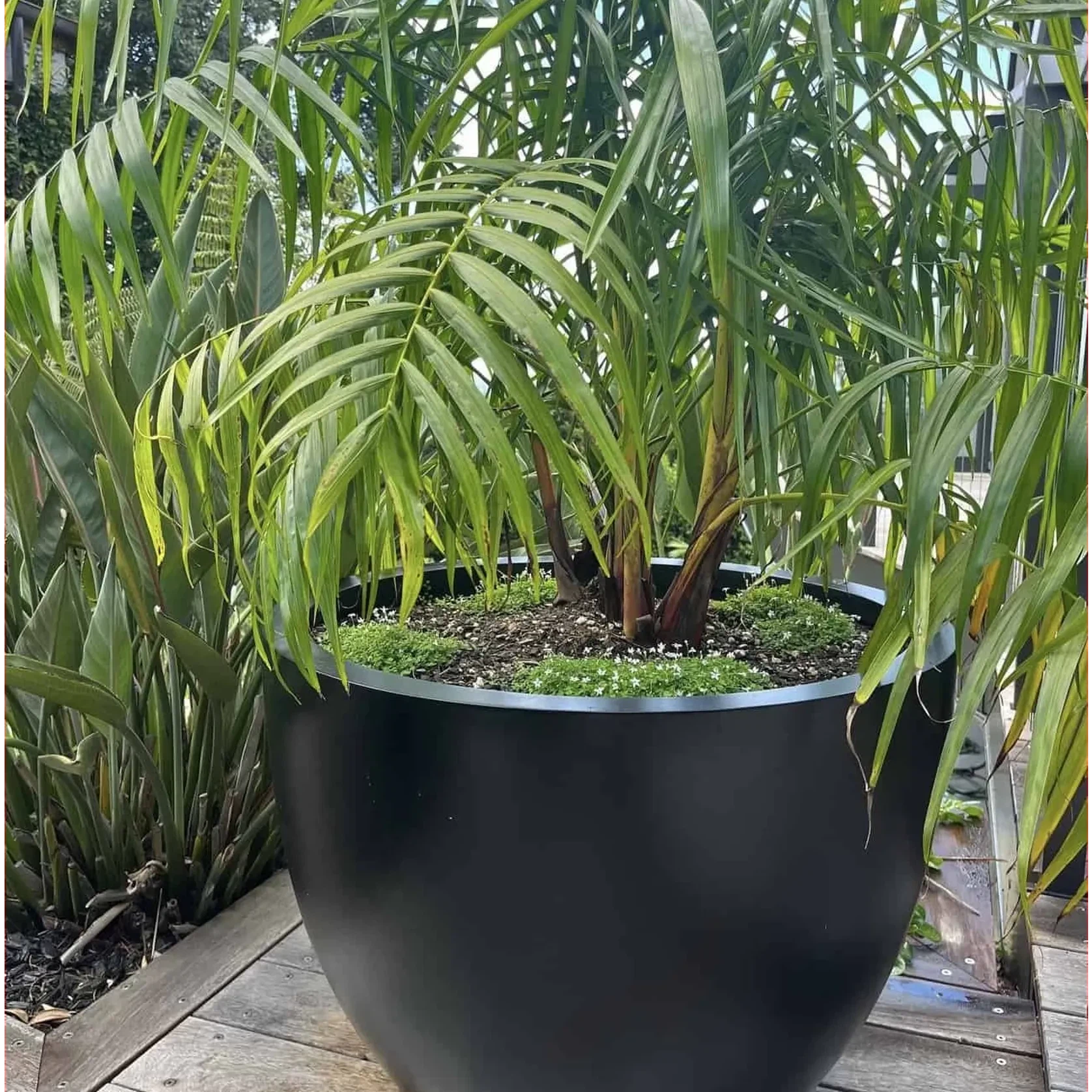 Bianca Egg Pot gallery detail image