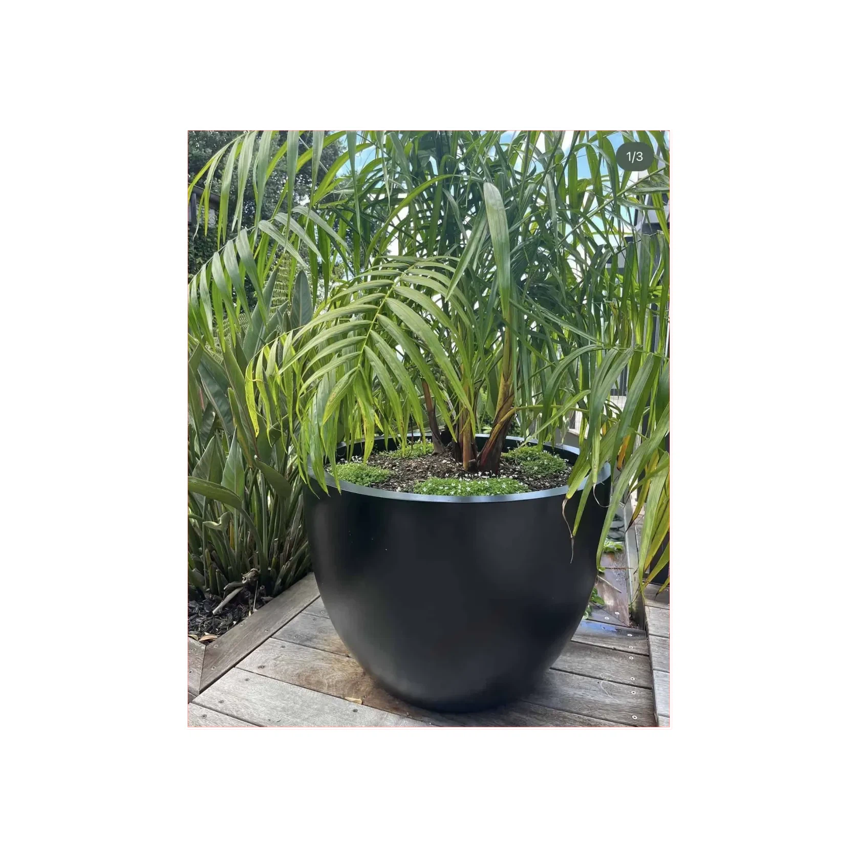 Bianca Egg Pot gallery detail image