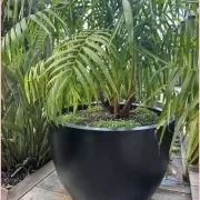 Bianca Egg Pot gallery detail image