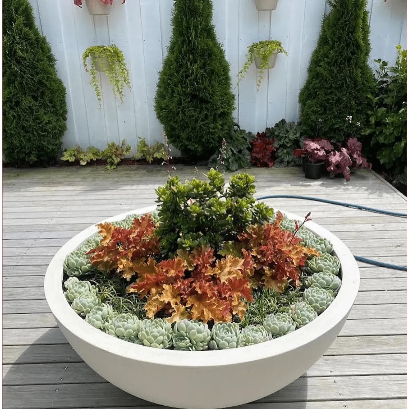 Bianca Bowl gallery detail image