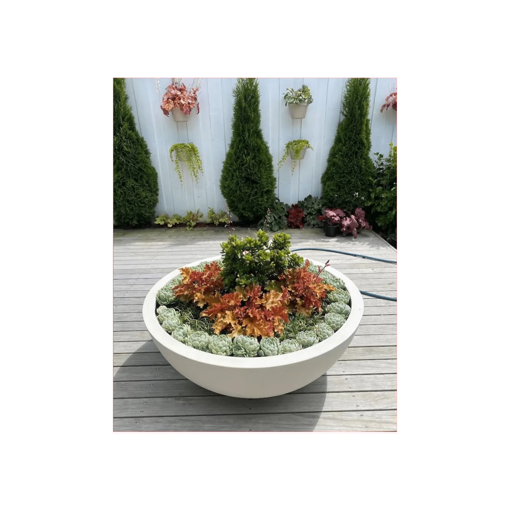 Bianca Bowl gallery detail image