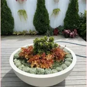 Bianca Bowl gallery detail image