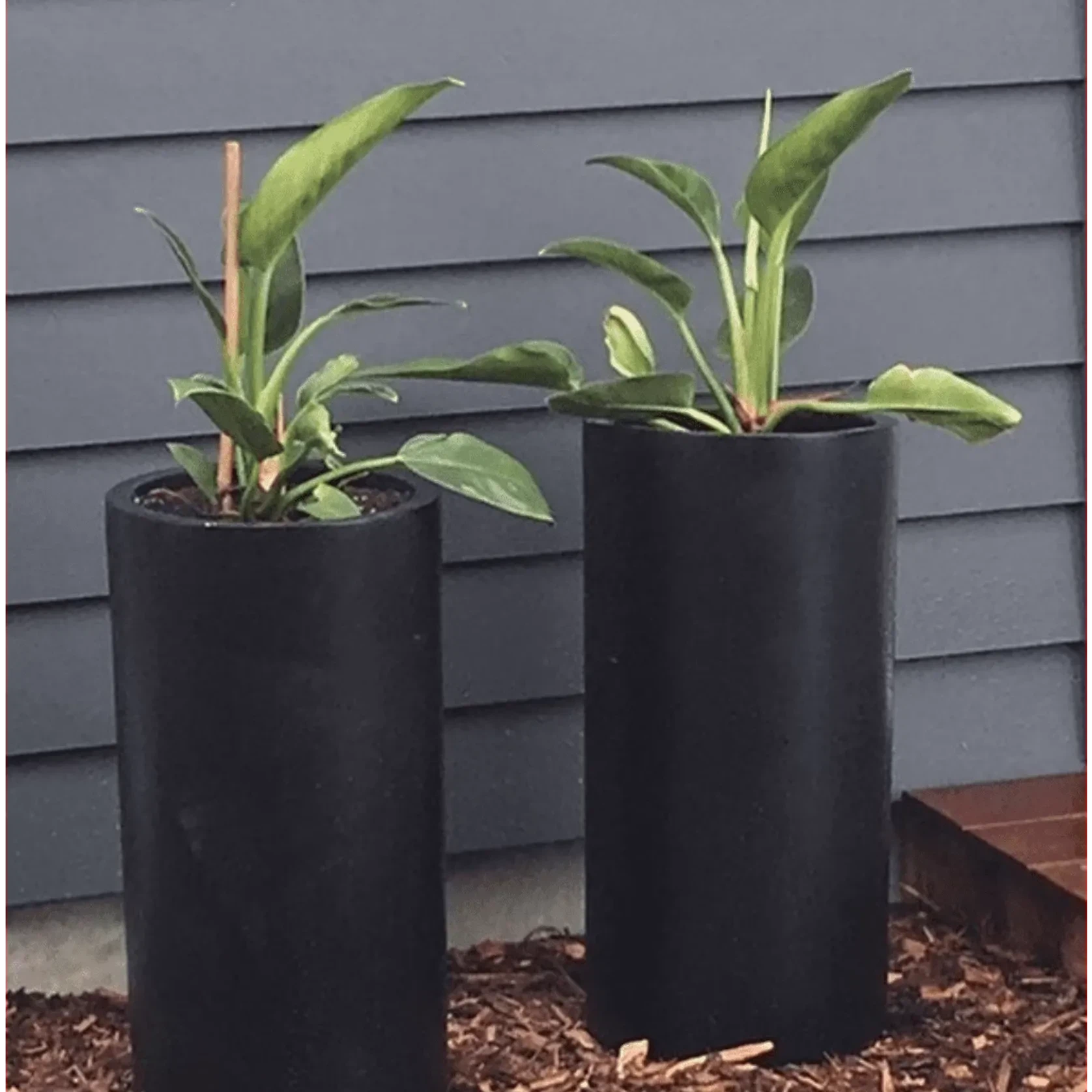 Bianca Cigar Cylinder Pot gallery detail image