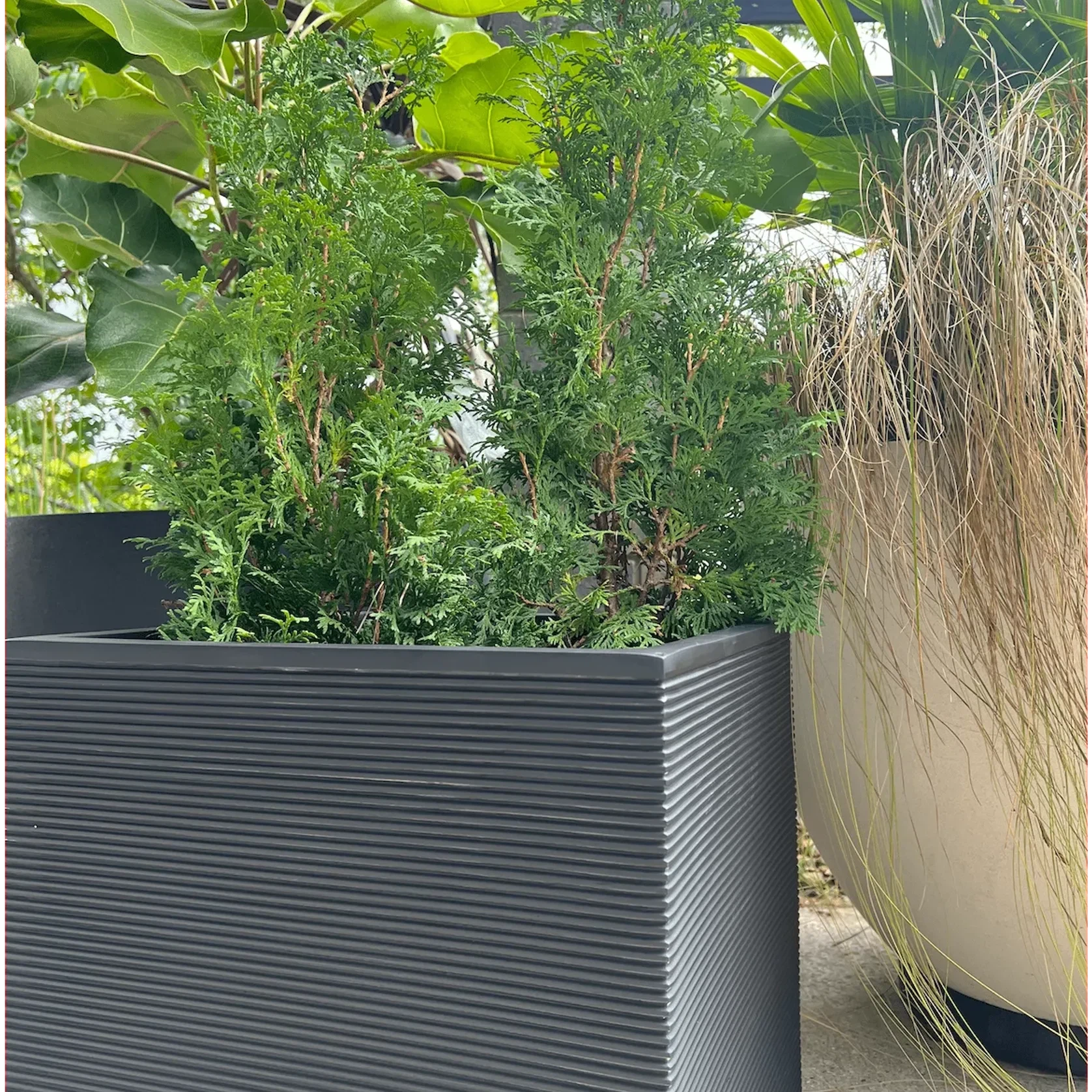 Bianca Cube Horizontal Stripes gallery detail image