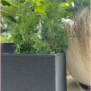 Bianca Cube Horizontal Stripes gallery detail image