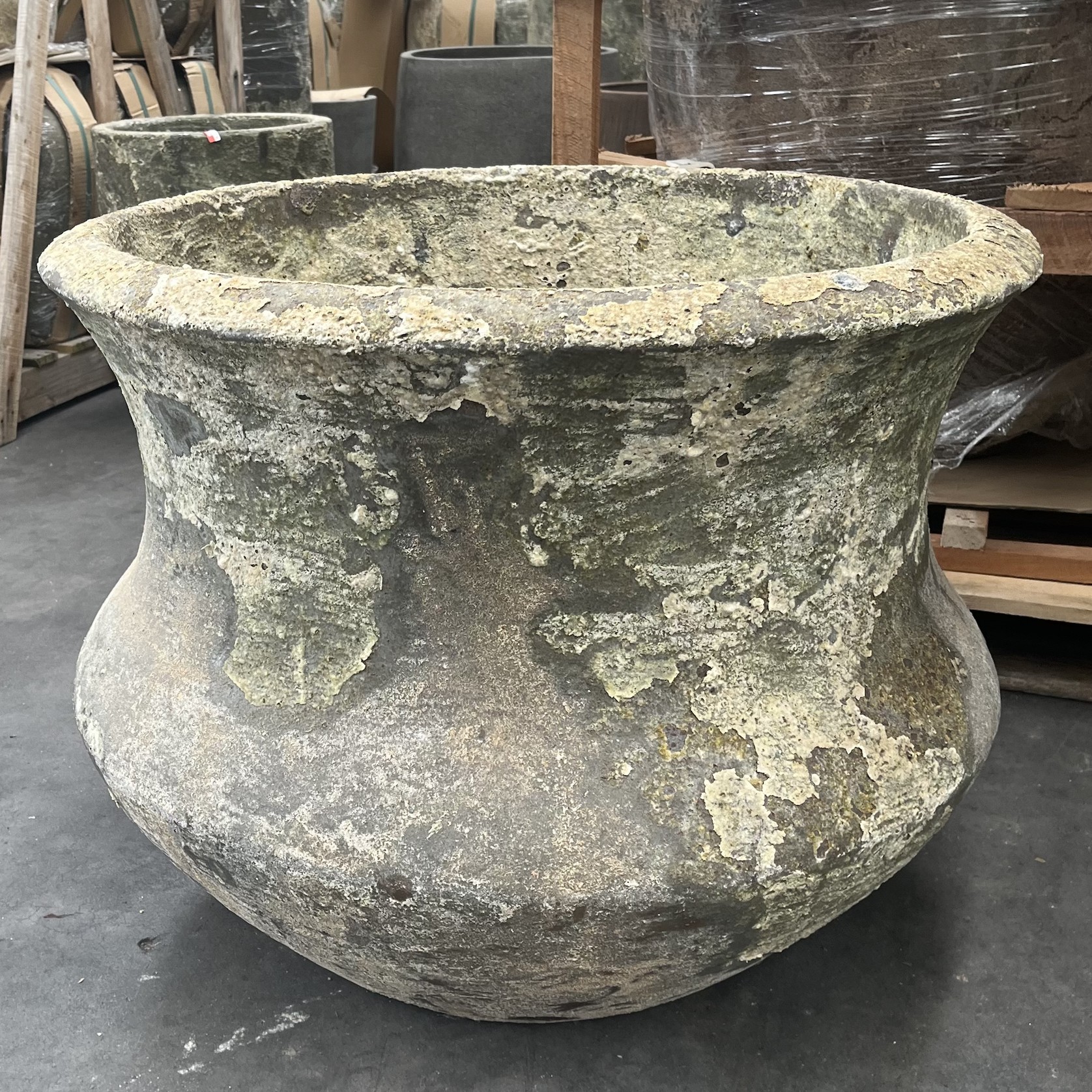 Atlantis  - Lotus Pond Planter gallery detail image