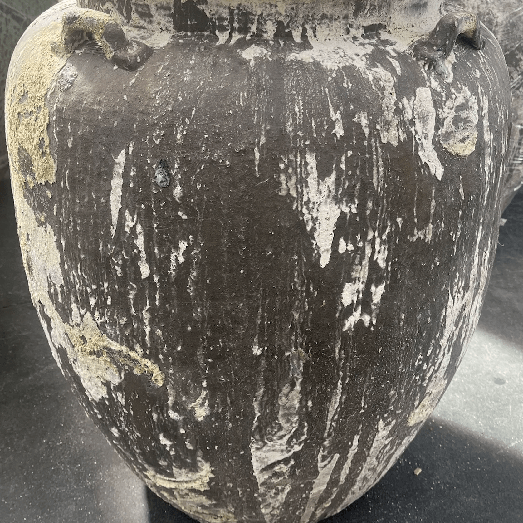 Atlantis - Nimo Planter w/ lugs gallery detail image
