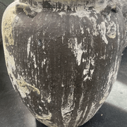Atlantis - Nimo Planter w/ lugs gallery detail image