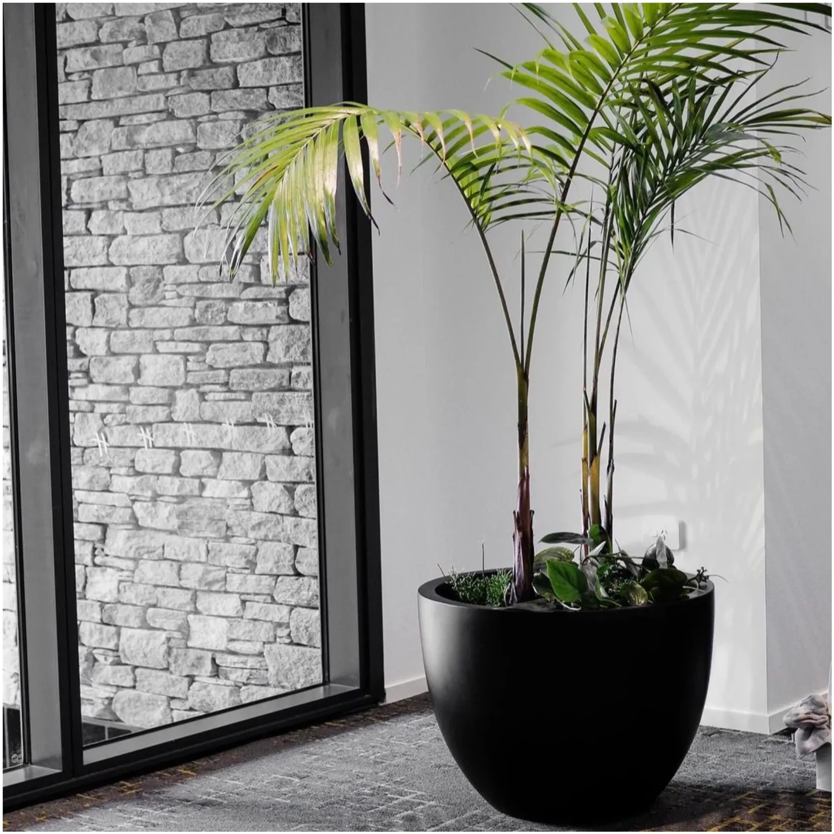 Bianca Egg Pot gallery detail image