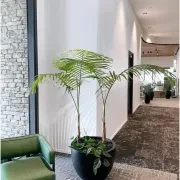 Bianca Egg Pot gallery detail image