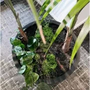 Bianca Egg Pot gallery detail image