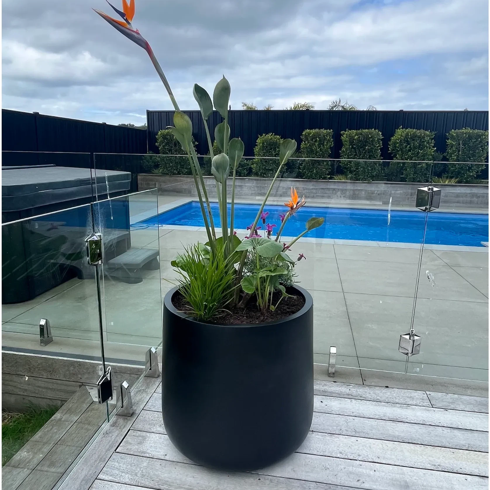 Bianca Cylinder Pot gallery detail image