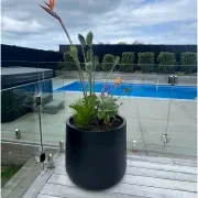 Bianca Cylinder Pot gallery detail image