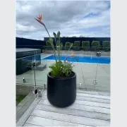 Bianca Cylinder Pot gallery detail image