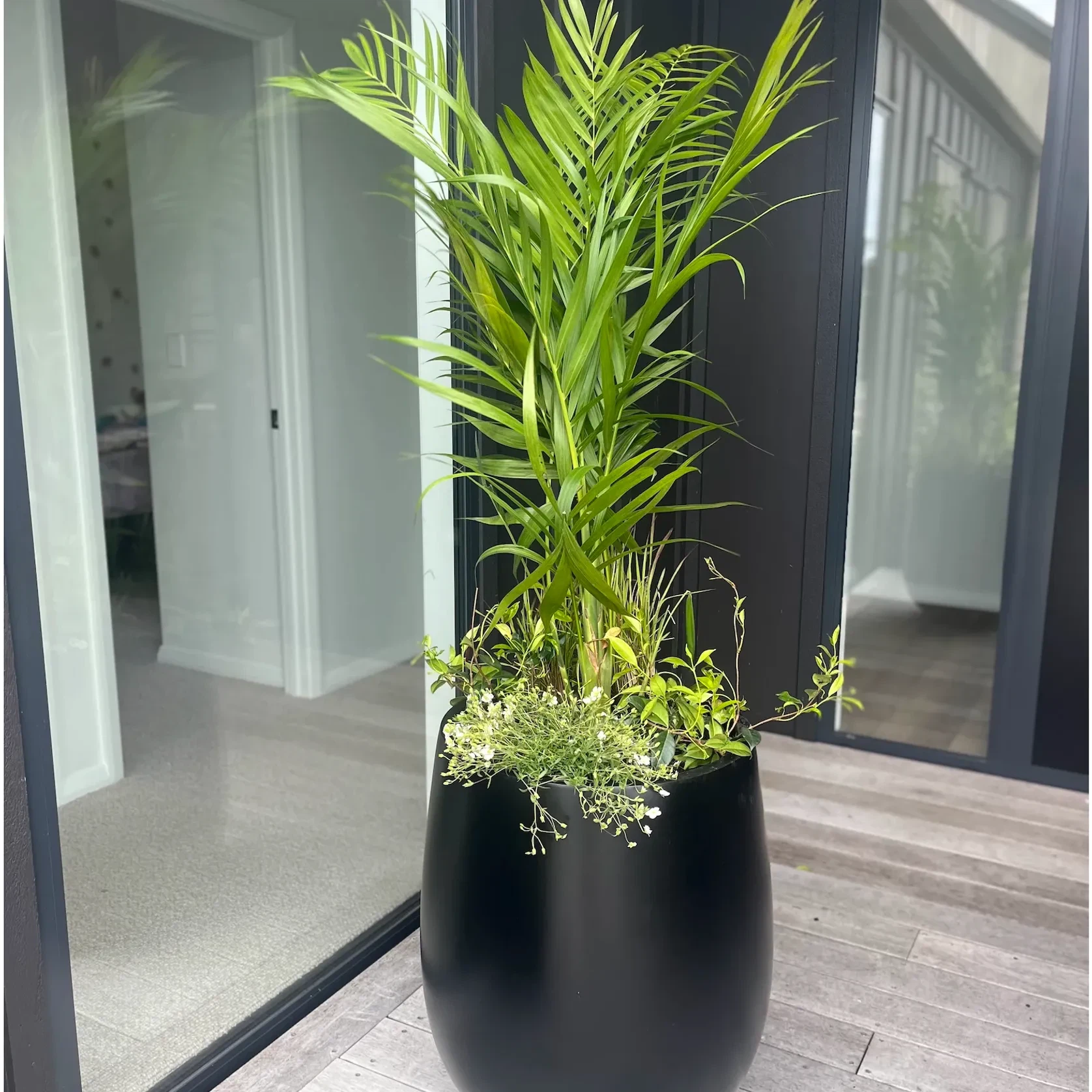 Bianca Palm Pot gallery detail image