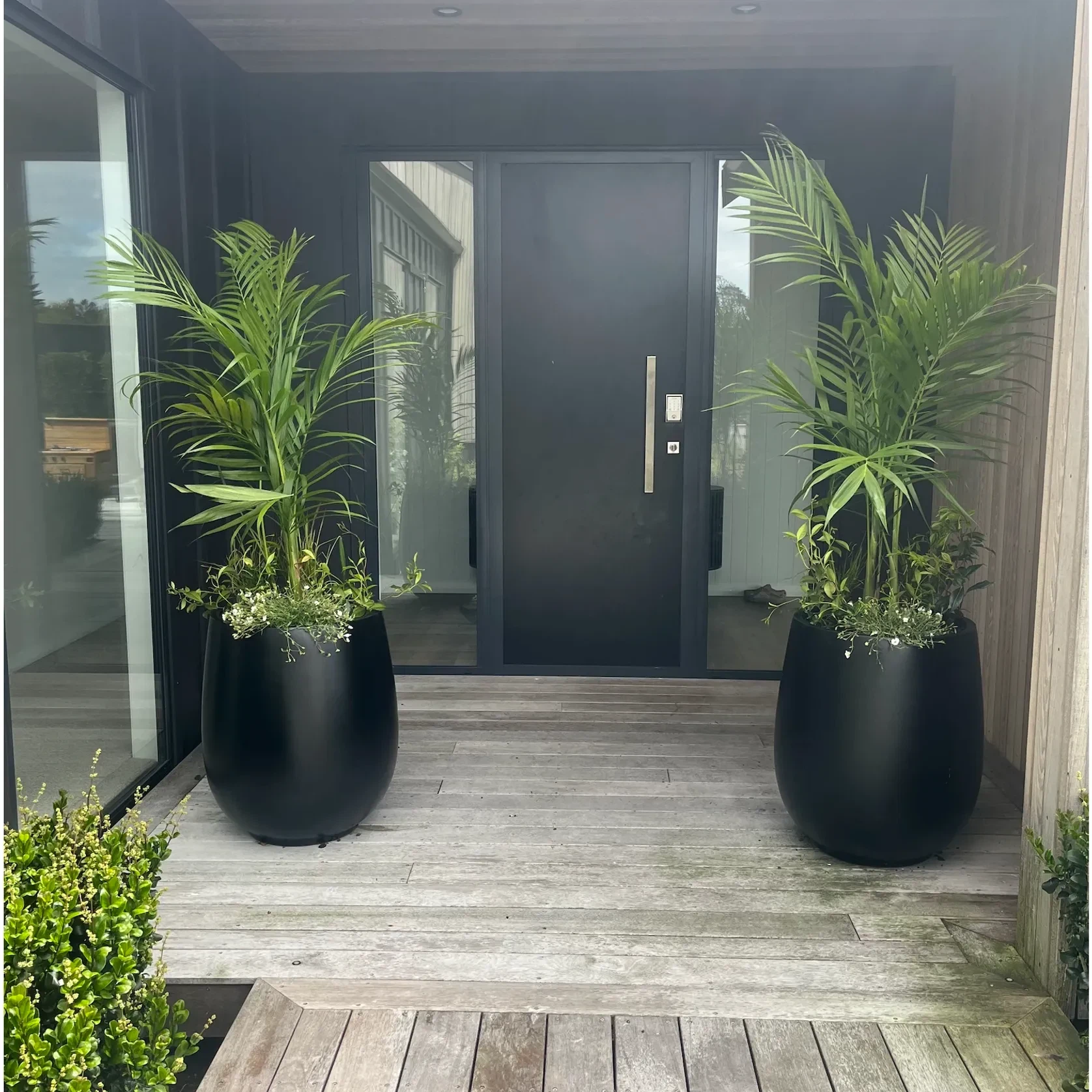 Bianca Palm Pot gallery detail image