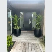 Bianca Palm Pot gallery detail image