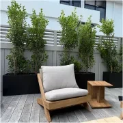 Bianca Trough gallery detail image