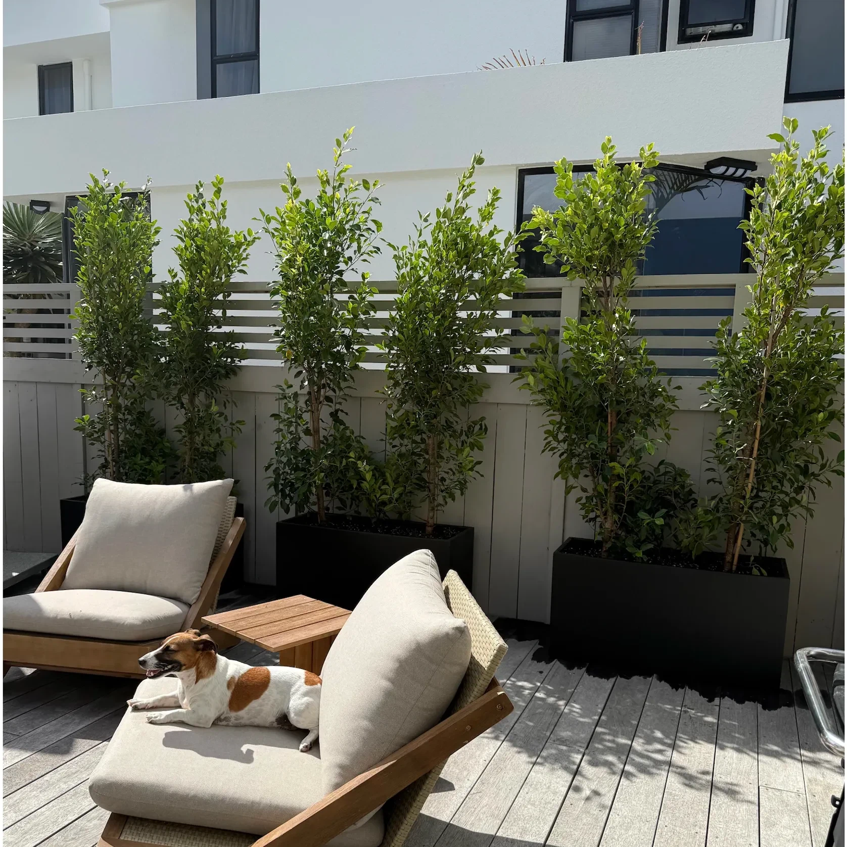 Bianca Trough gallery detail image