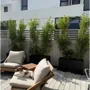 Bianca Trough gallery detail image