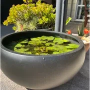 Bianca Hibachi Bowl gallery detail image